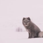 新濠博亚官方网站:探索全球顶级博彩娱乐体验的最佳平台 5m4btwgqv