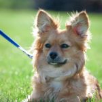 鸿博体育网址:畅享全球体育赛事的最佳平台 6t2g5a2b