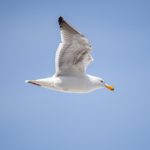 阳光娱乐的魅力:让每一天都充满欢笑与活力 7m5013