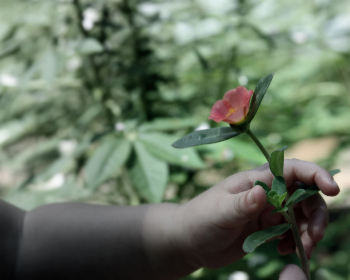 揭秘线上赌钱推荐:如何选择安全可靠的平台 揭秘线上赌钱推荐:如何选择安全可靠的平台