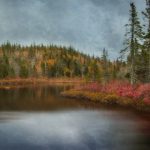 鸿博app官网:探索全新数字化服务平台的无限可能 l66bcpc