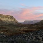 新2网站如何改变在线服务的未来发展趋势 nyfve44d0i